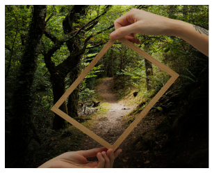 When the Waters Rise: Healing Trauma Through Body and Spirit