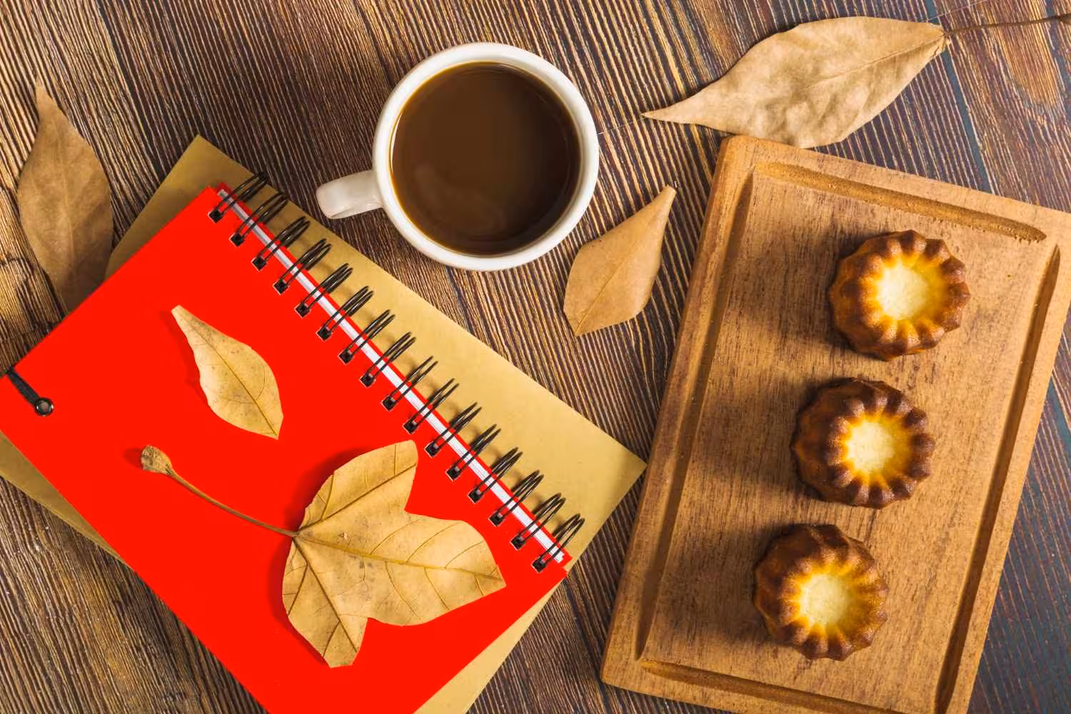 The Science of Thought and Success